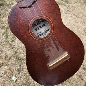 Brown Acoustic Guitar with DTX Logo